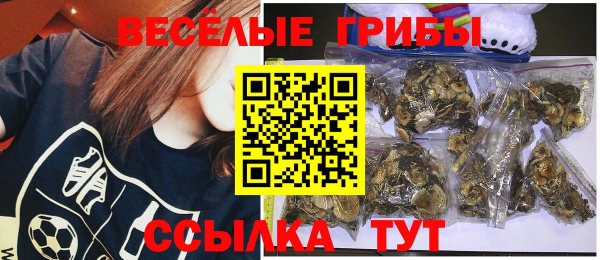 Самара  Псилоцибиновые грибы Psilocybe  Псилоцибиновые грибы Psilocybe  Вход с VPN 
