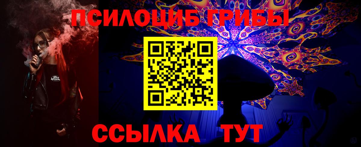 Галлюциногенные грибы Psilocybe Самара